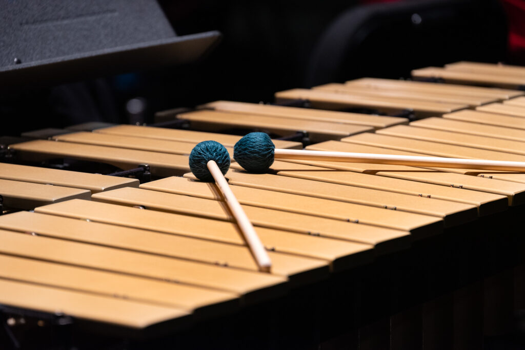 xylophone Mallets with blue tips